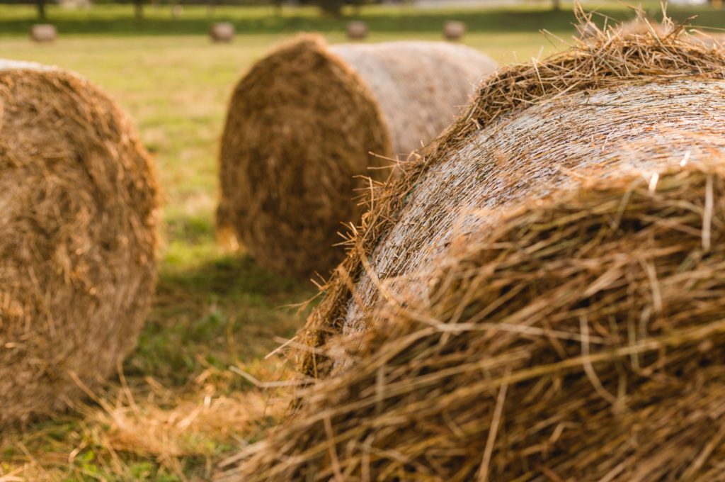 A haystack in a field.